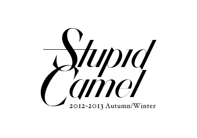 Stupid Camel